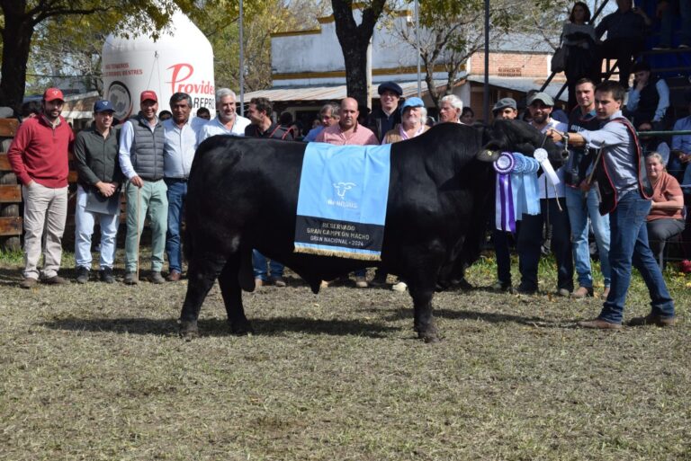 Cabañas de Corrientes y Córdoba se llevaron los premios más importantes de Brangus en la Exposición Nacional de Razas