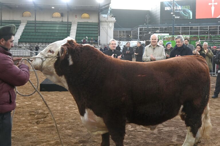 La Secretaría de Agricultura, Ganadería y Pesca acompañó la llegada del primer animal a la Expo Rural 2024.