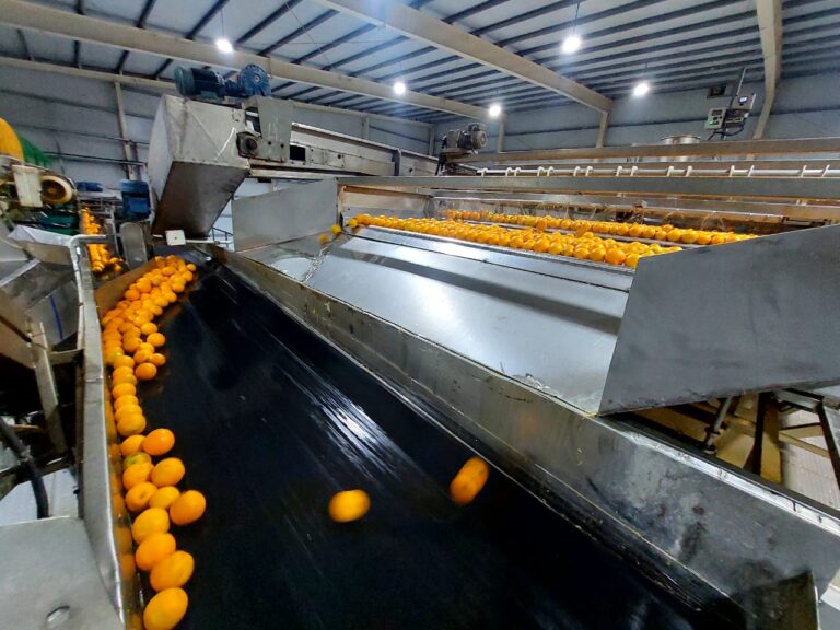 Corrientes: Plan Naranja, una apuesta estratégica para el desarrollo