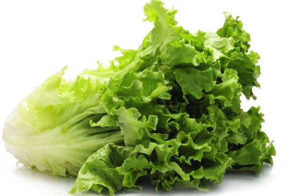 Huerta tips: Prepará tu huerta de primavera con cultivos fáciles en septiembre 2024