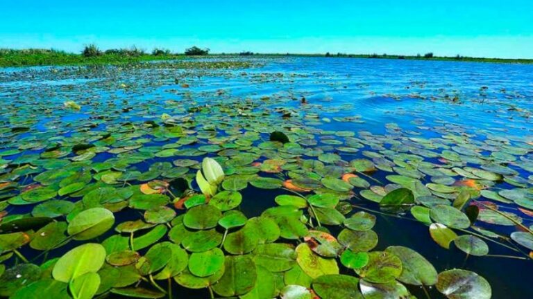 Se realizará el viernes el Congreso de Educación Ambiental -Áreas Protegidas en la provincia de Corrientes