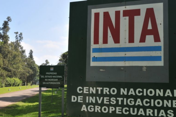 Ex Presidentes del INTA salieron a rechazar el proyecto de ajuste en el instituto: “No permitan este atropello denigrante y mercantil”, dijeron