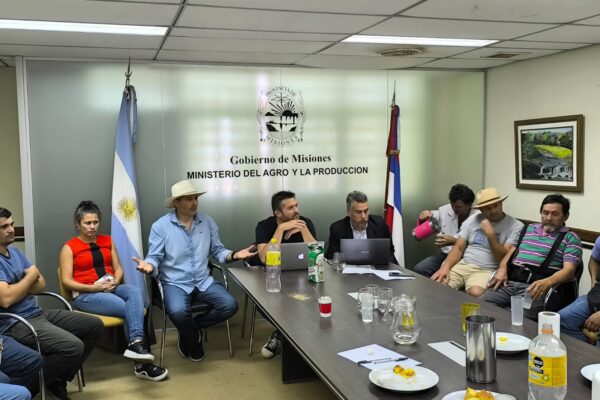 Acuerdo clave entre el Ministerio del Agro y los productores yerbateros de la zona norte de Misiones