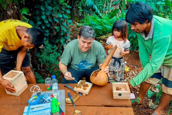 MISIONES: El Ministerio del Agro fomenta la meliponicultura como herramienta de desarrollo sostenible en comunidades guaraníes