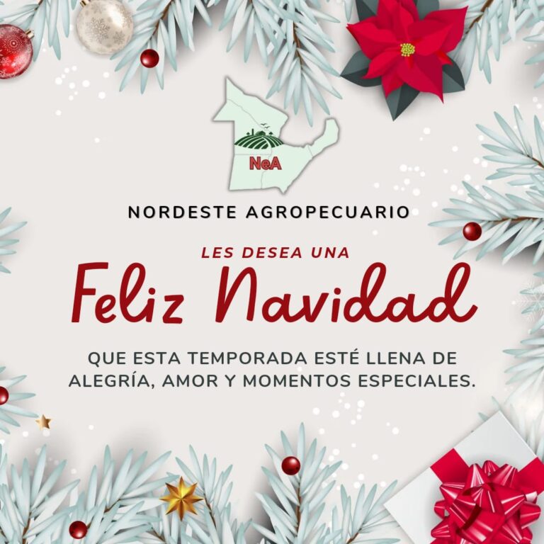 ¡FELICES FIESTAS!