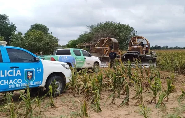 OTBN y desmontes: “Hay que decir la verdad”, dice la FAPIF