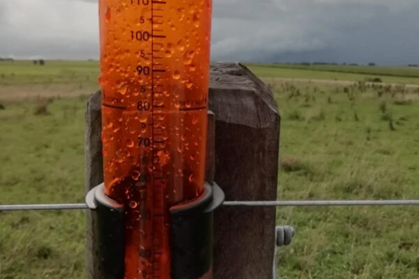 Qué zonas recibieron las lluvias más importantes y cómo impacta en el desarrollo del maíz y la soja