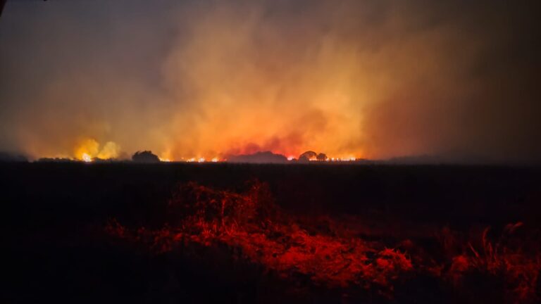 AGRADECIMIENTO Y RECONOCIMIENTO A LOS HÉROES QUE COMBATIERON EL INCENDIO EN RIACHUELO CORRIENTES