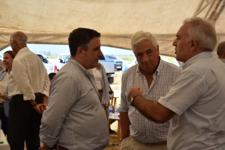 CON UNA COSECHA RÉCORD: Corrientes consolida su liderazgo en la producción arrocera