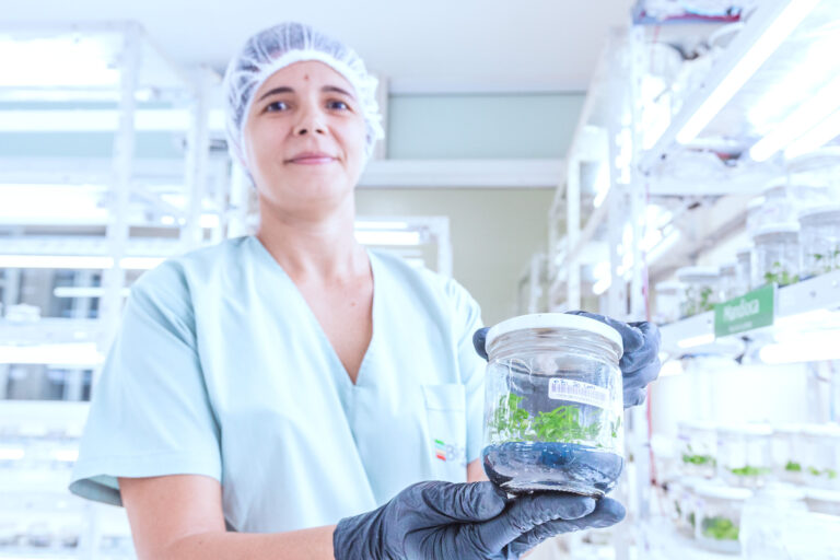 Misiones será sede del mayor encuentro de biotecnología del país