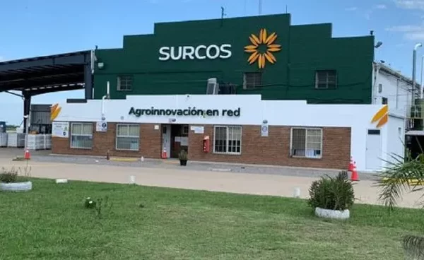 Liberan las cuentas de Surcos y la empresa busca normalizar su operación
