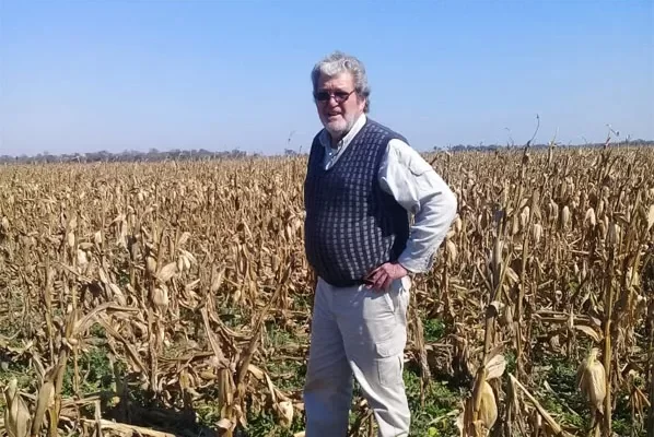 La lluvia trae alivio, pero la incertidumbre persiste en el campo chaqueño.