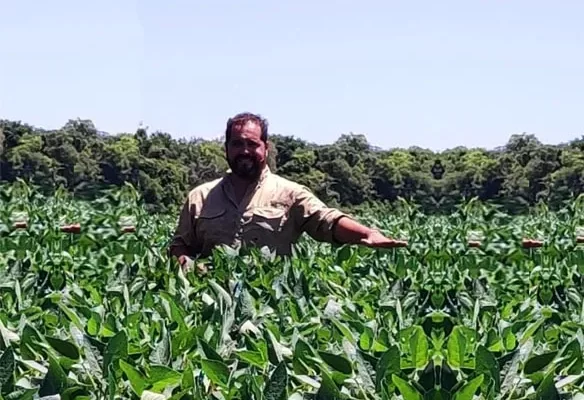 Tiempos difíciles para el campo chaqueño: “No alcanza ni con 1.500 kilos de soja”