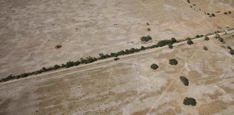 Para Chaco y Santa Fe: declararon la emergencia agropecuaria y lanzaron un millonario plan de asistencia a productores chaqueños