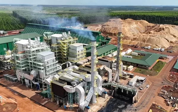 CORRIENTES: El dueño de los bosques que rodean Posadas, inaugurará el 7/5 planta de u$s120 M en Virasoro