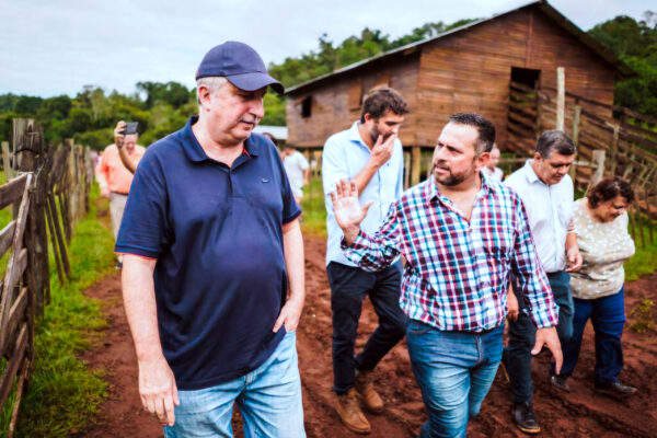 MISIONES PONE EN MARCHA LA PRODUCCIÓN PROVINCIAL DE PAJUELAS PARA IMPULSAR LA GENÉTICA GANADERA