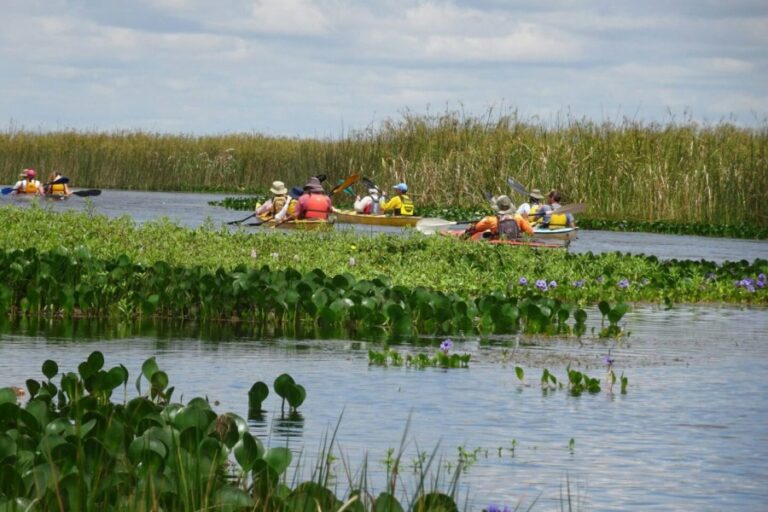 CORRIENTES: BUENA NOTICIA! Esteros del Iberá y Goya las más elegidas para el fin de semana largo