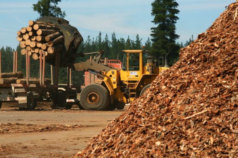 ¡ALARMA! Una importante forestal en Corrientes pide concurso de crisis y suspendería a 200 empleados