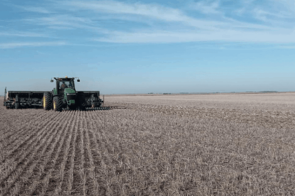 Comenzó la siembra de trigo: desde el Gobierno, proyectan un aumento del 6,2%