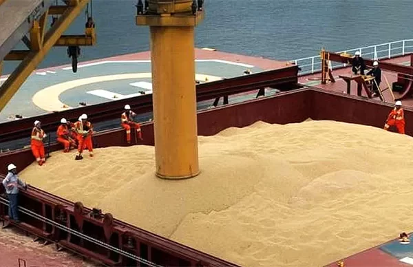 La soja sigue siendo el producto que más se comercializa en Rosario