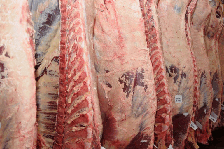 El Gobierno le puso fin a la obligación del peso mínimo para faenar ganado