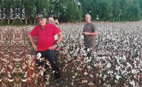 Algodón, rutas en mal estado y una soja inviable: el análisis de un productor de Santiago del Estero