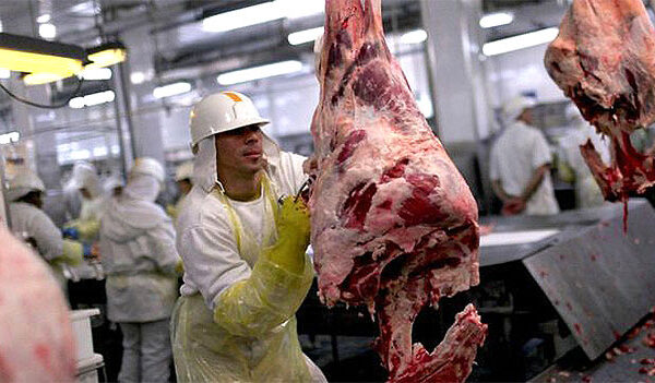 La faena en el Chaco se mantiene, aunque hay un alto porcentaje de capacidad ociosa