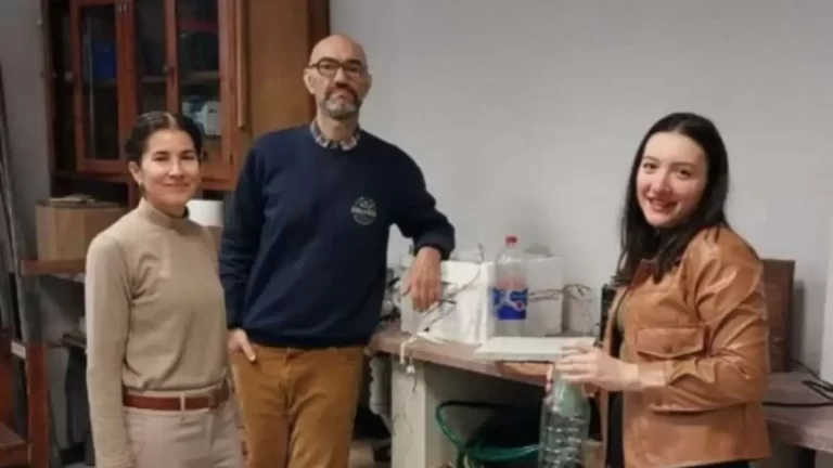 Investigadores de la Unne desarrollaron ladrillos con material reciclado