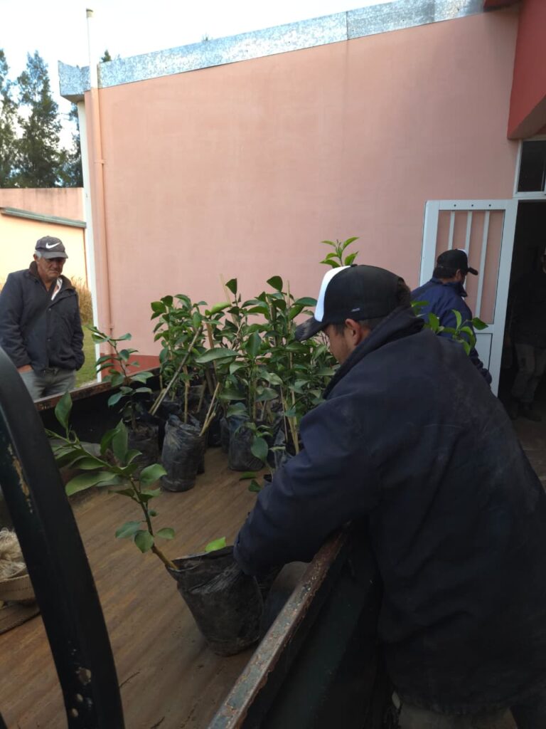 Entregaron 2.000 plantas a productores de Tres de Abril para impulsar la citricultura correntina