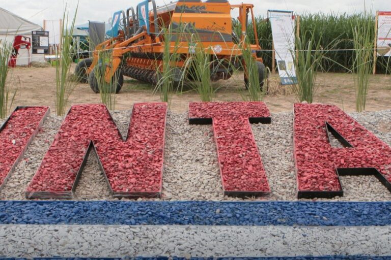 REVÉS! La Justicia frenó más de 300 despidos encubiertos en el INTA