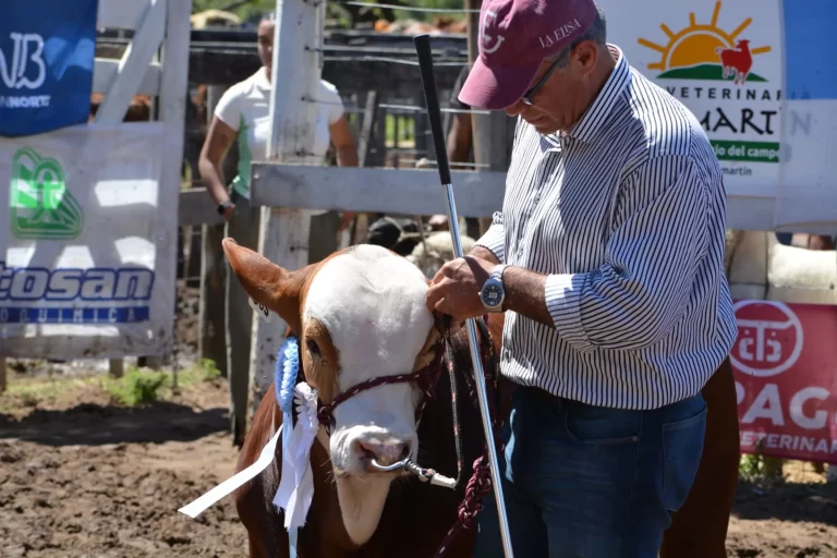 Claudio Anselmo: “Necesitamos una agenda productiva consensuada que contemple el potencial de las economías regionales”