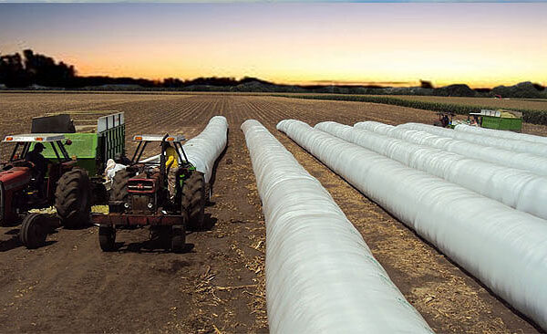 En Argentina, el 40% de la producción se guarda en bolsones