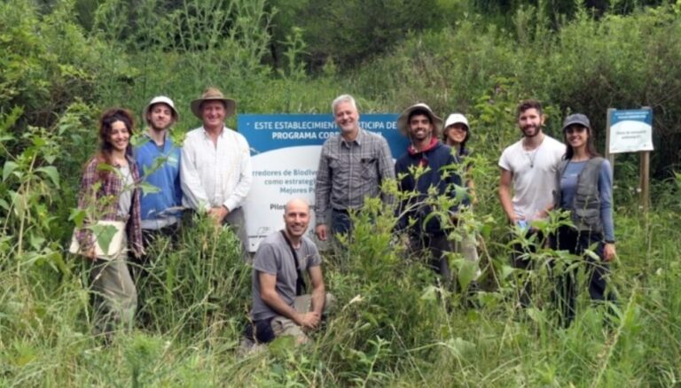 El Delta del Paraná se restaura con especies nativas: ya plantaron más de 600 ejemplares