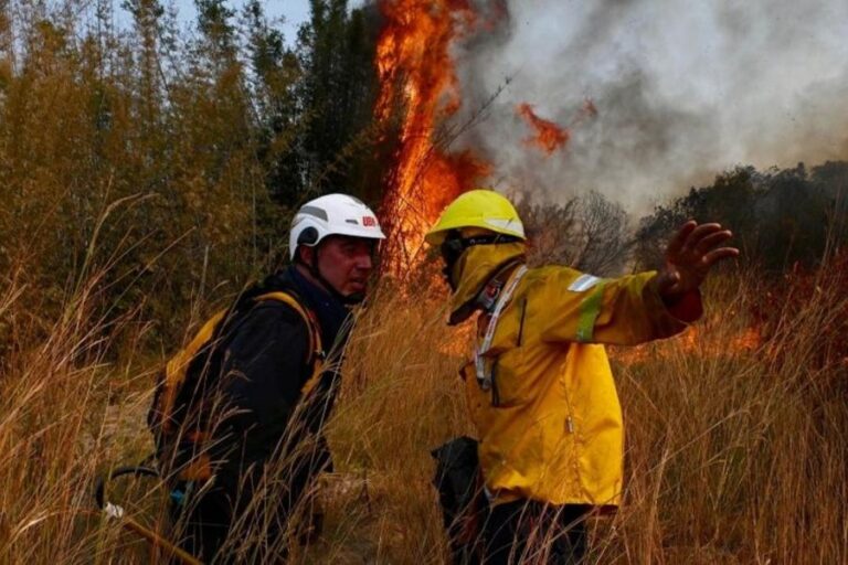 Bomberos correntinos advierten por incendios forestales en la provincia
