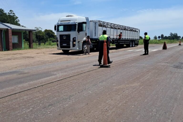 Corrientes: tras la detección de ganado correntino con garrapatas en Entre Ríos, activaron controles camineros