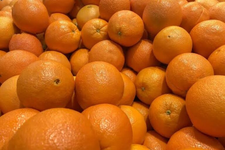 Naranja de Egipto o correntina: los precios y qué eligen los Sanjuaninos