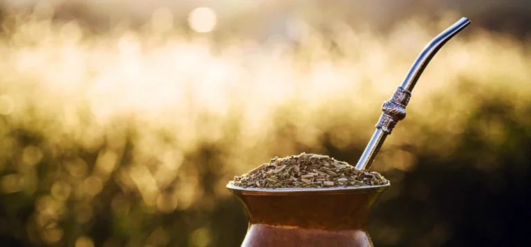Indicaciones geográficas del Mercosur: la nueva regulación que puede abrir un frente estratégico para la yerba mate y los alimentos regionales