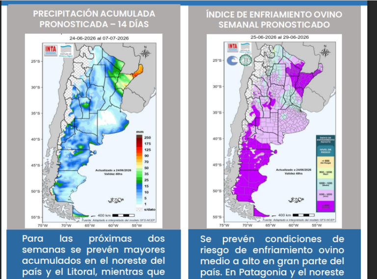 CORRIENTES: pronóstico de precipitaciones para los próximos días