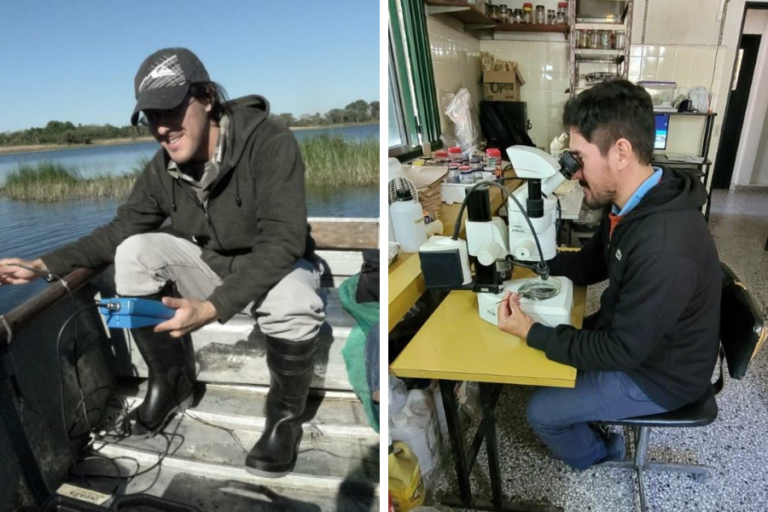 Estudian invertebrados acuáticos como indicadores de la calidad del agua de las lagunas de Corrientes