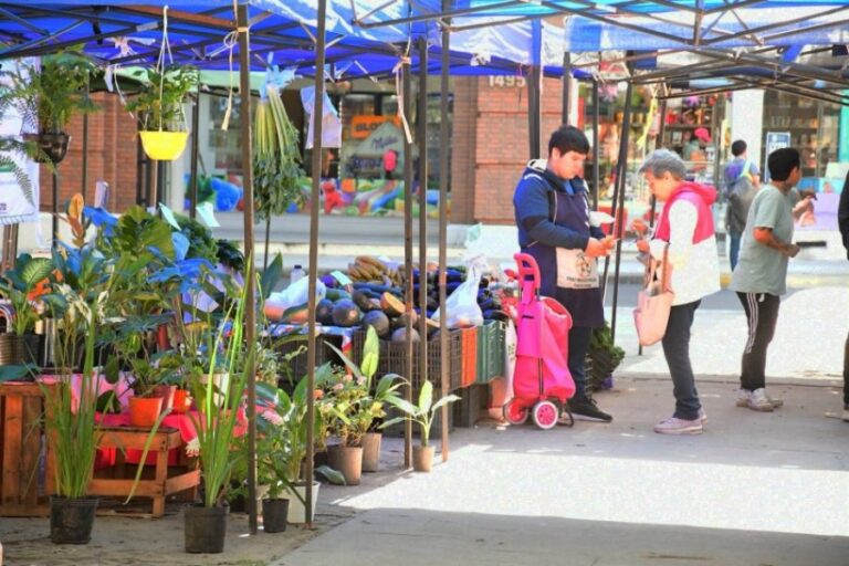 CORRIENTES: Las Ferias de la Ciudad renuevan su recorrido semanal