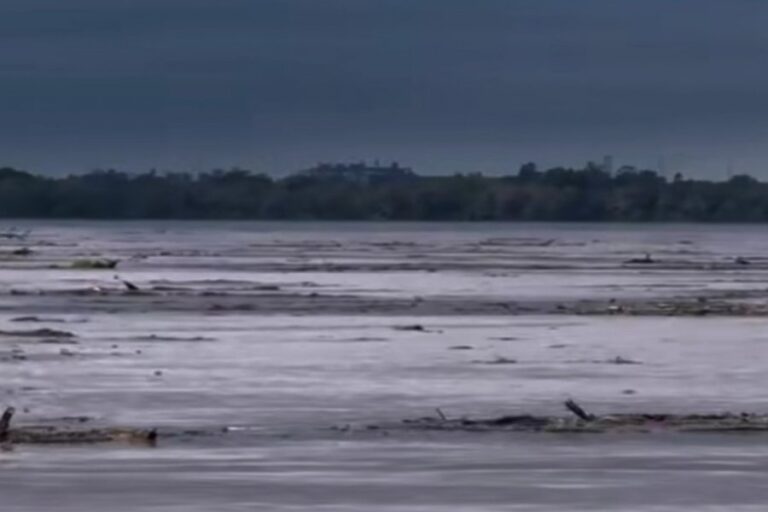 Creciente: Prefectura recomienda extremar precauciones al navegar por el río Uruguay en Corrientes