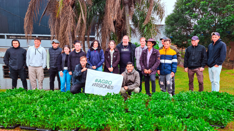 El pimiento abre una nueva etapa de diversificación para 55 familias tabacaleras de Misiones