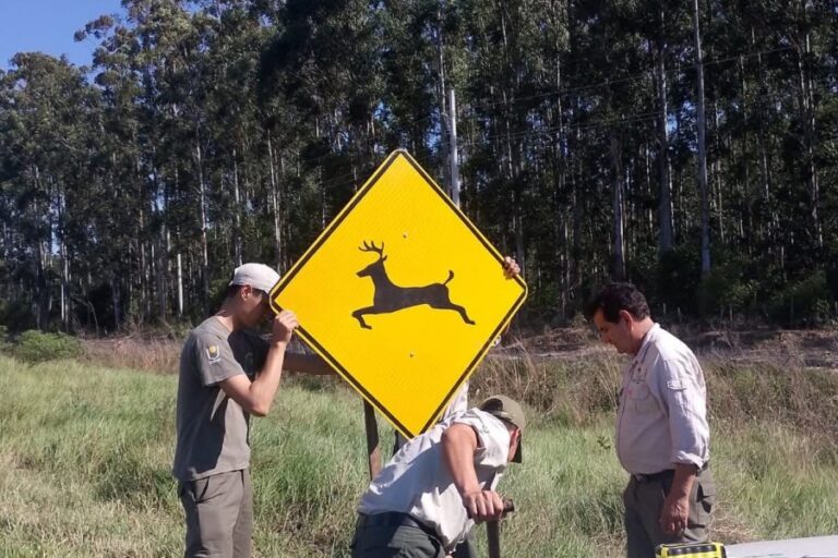 Colocan carteles para advertir la presencia de fauna local en una ruta del interior de Corrientes