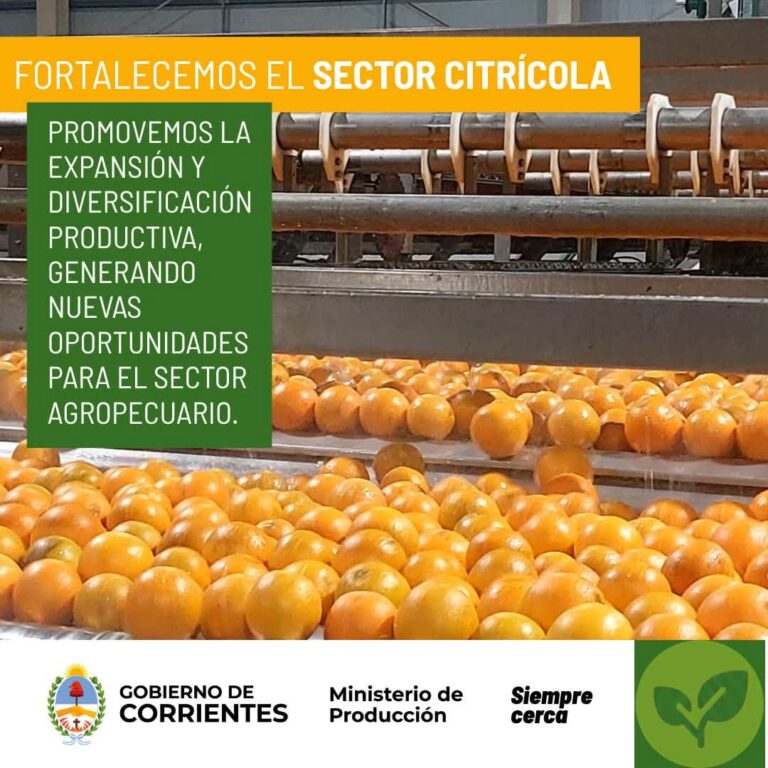 Más producción y nuevas oportunidades para el sector citrícola en Corrientes