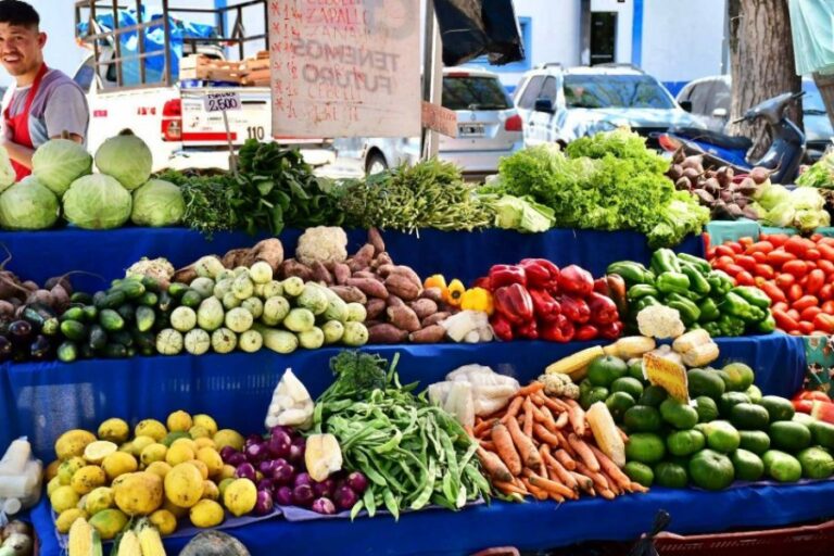 Las Ferias de la Ciudad de Corrientes inician un nuevo recorrido semanal