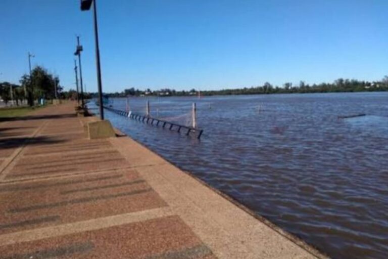 Altura del Río Uruguay: crece en dos localidades correntinas